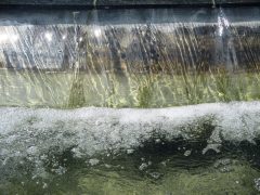 Fountain, water, pool of water — Navigating the Future: How High-Volume Payment Processing Supports E-commerce Trends