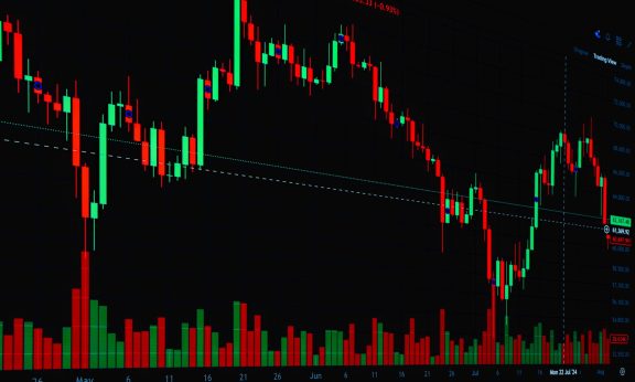Sensex and Nifty rising